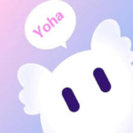 yohaliveinfo